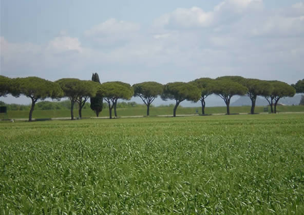 Paesaggi della Maremma Toscana